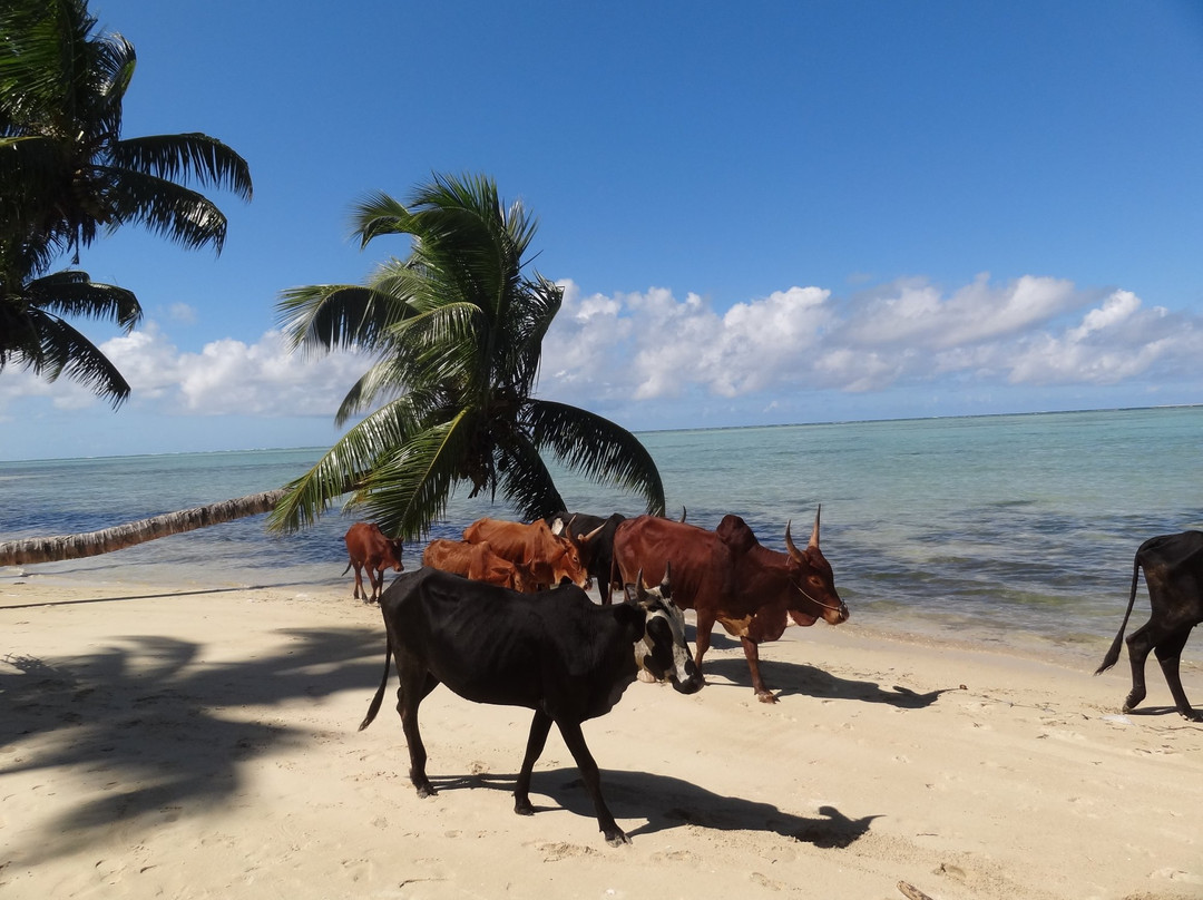 Ravoraha酒店住宿-Hotel Club Paradise