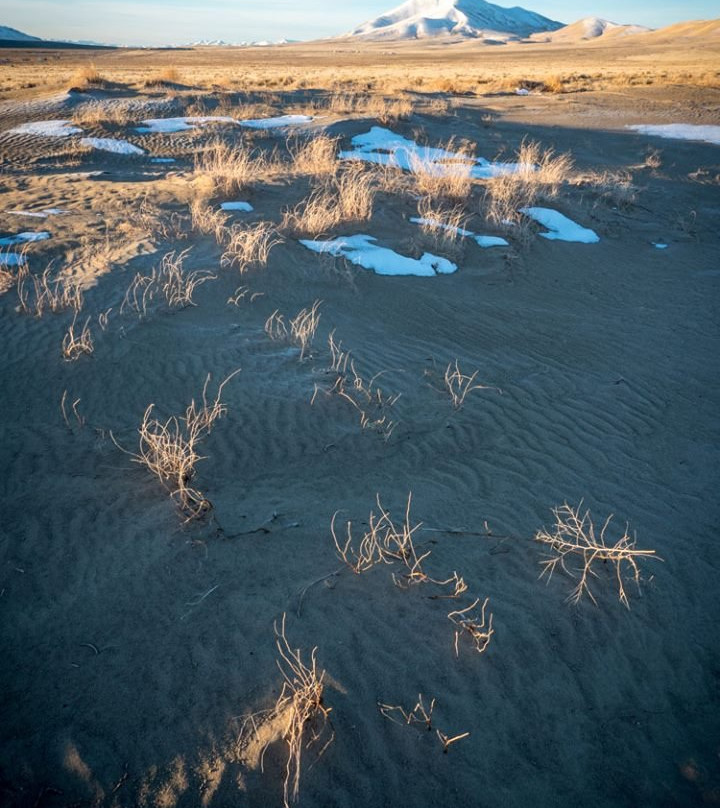 Winnemucca Sand Dunes景点图片