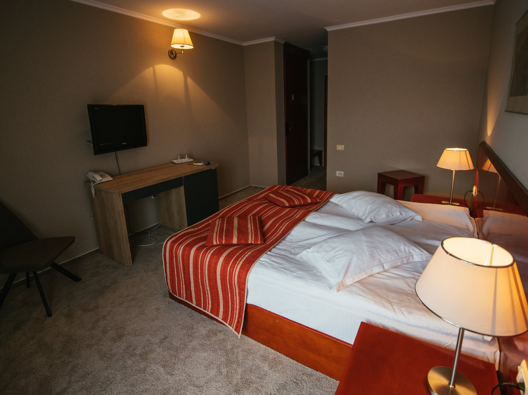 Hotel Atrium主图
