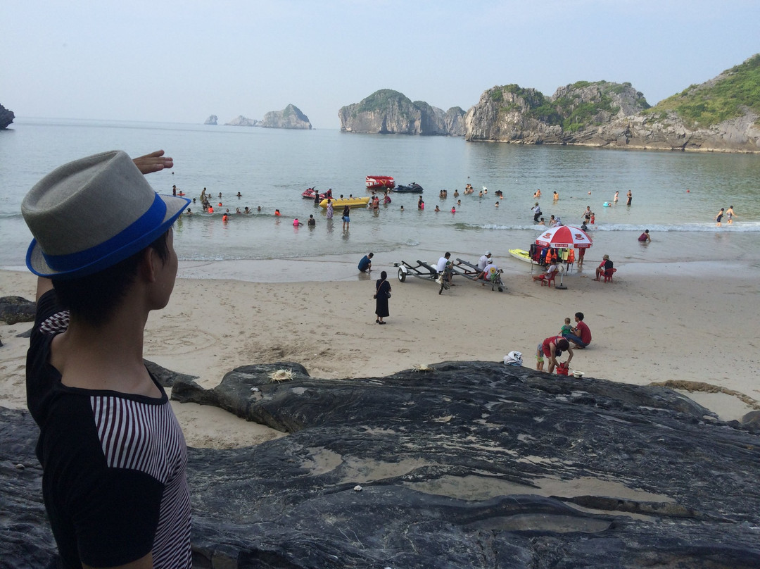 Cat Ba Tours景点图片