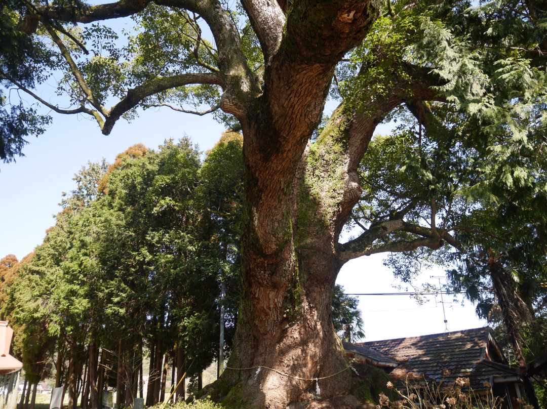 Oshitori Shrine-神埼市必去景点