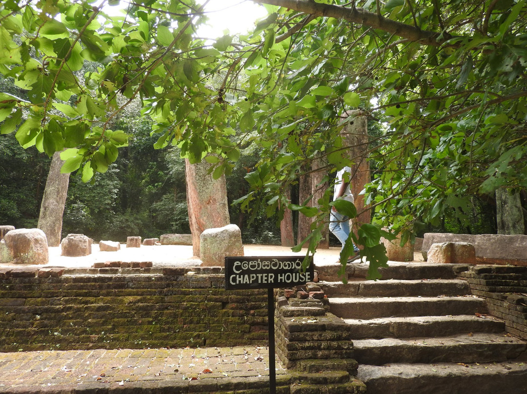 Menikdena Archaeological Reserve and Arboretum景点图片