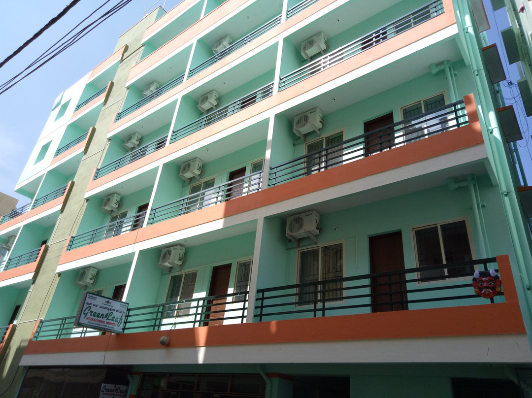 Greenleaf International Comfort