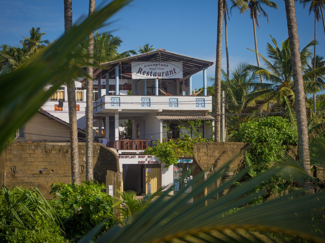 米迪加玛酒店住宿-Cocoplant Surf Inn & Surf School