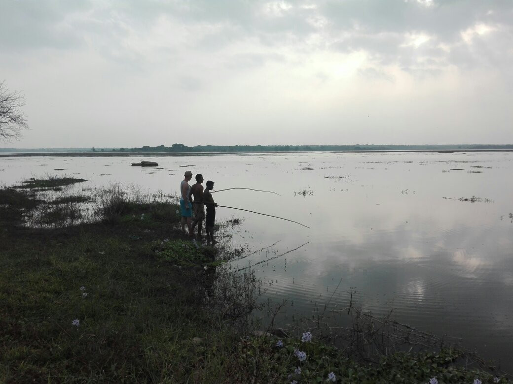 Hotel Grand Halabana主图