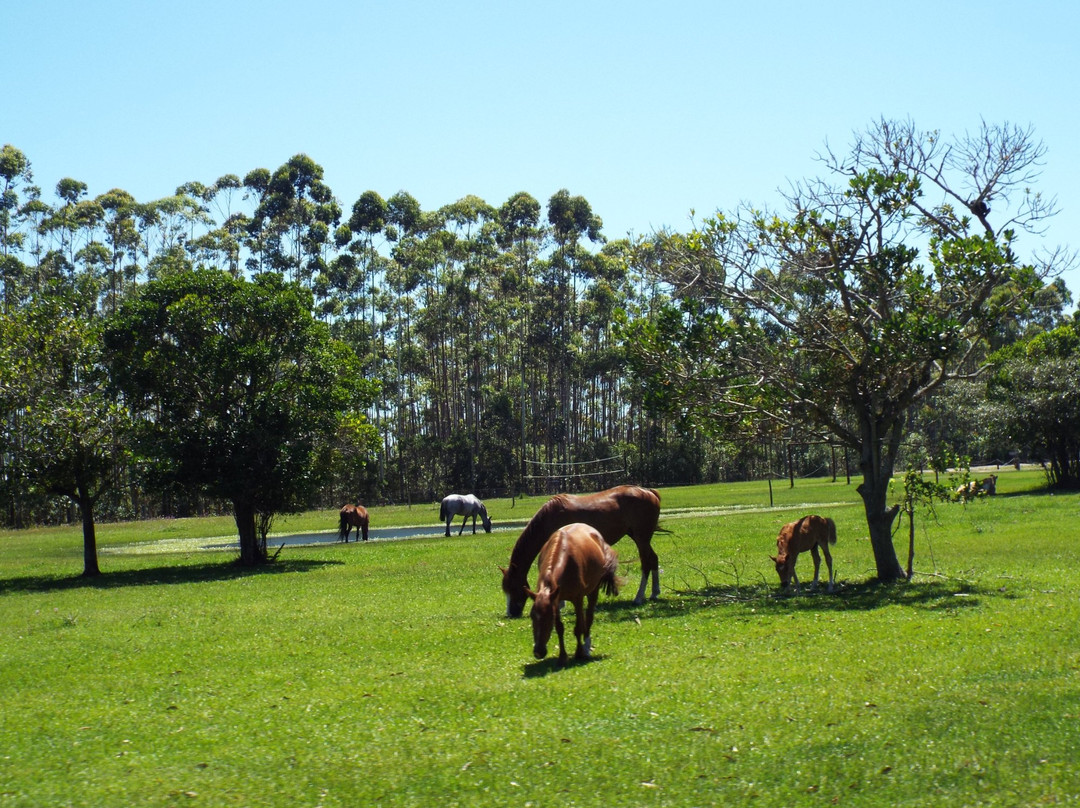 Hotel Acqua Lokos主图