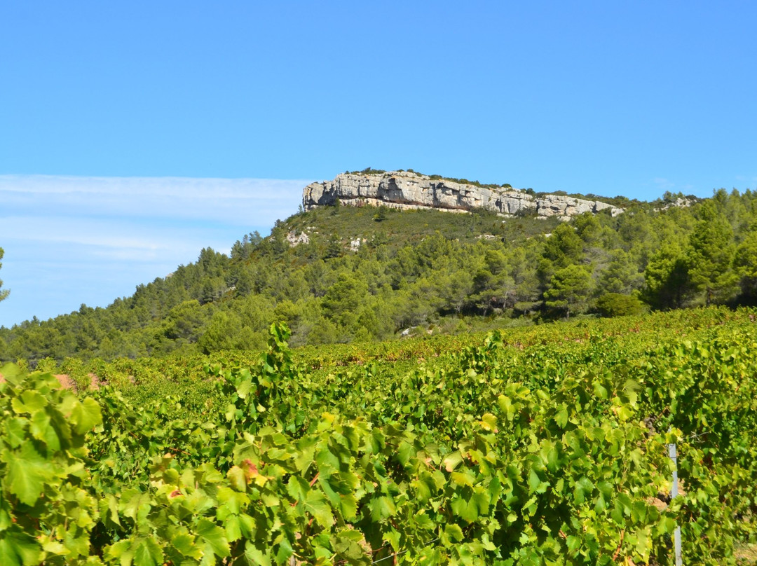 Château Saint-Estève景点图片