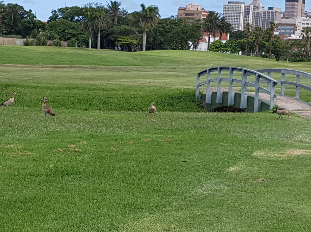 Royal Durban Golf Club景点图片