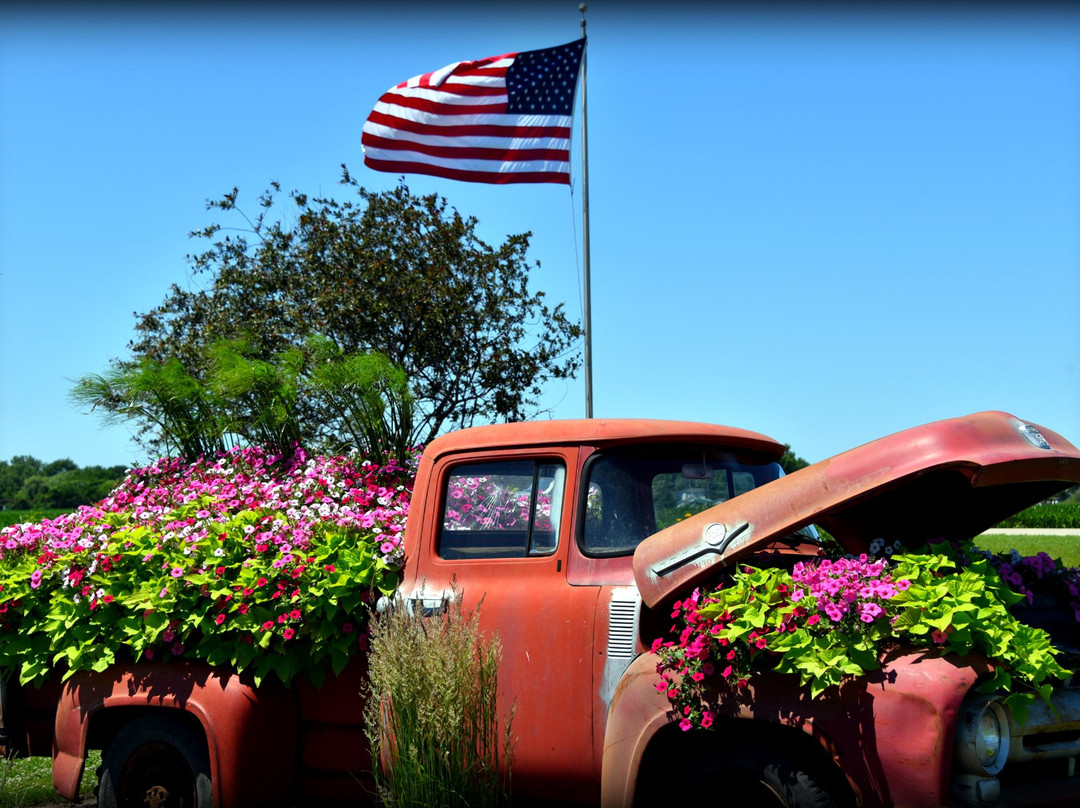 Spring Green Motel主图