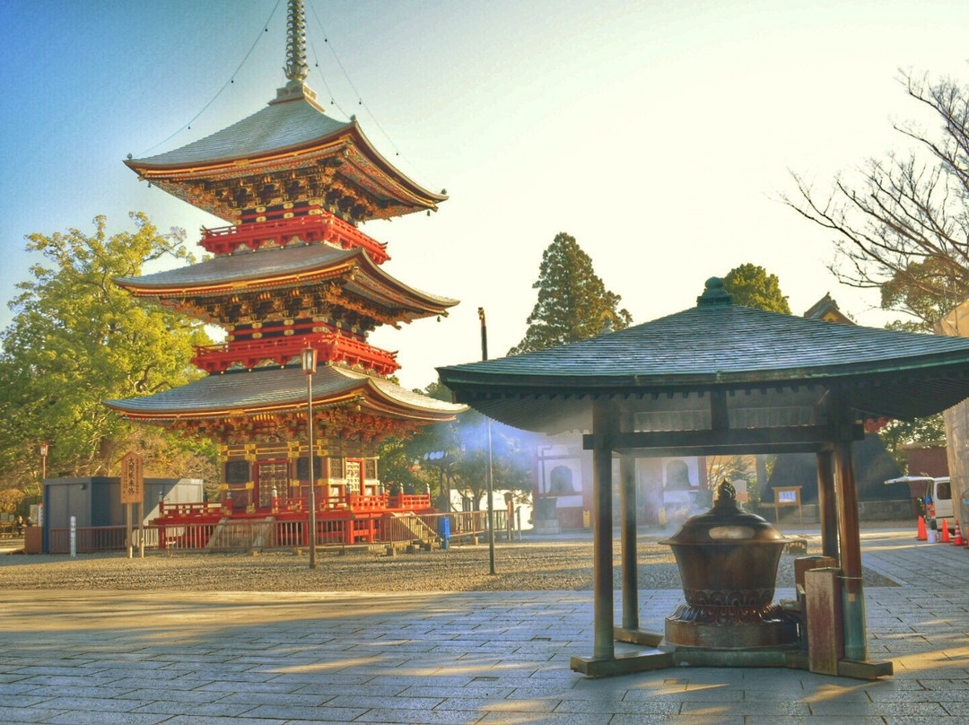 成田山 新胜寺-成田市必去景点