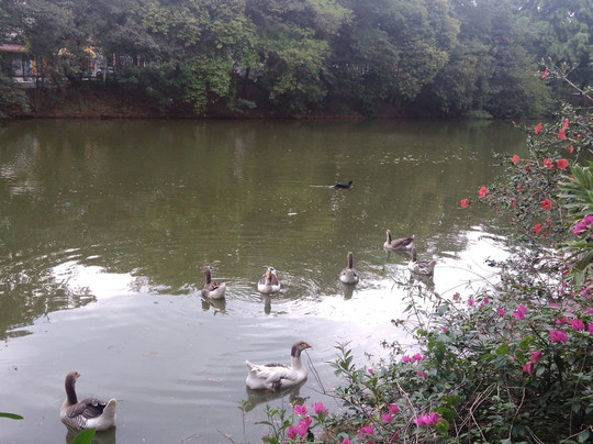 Parque Dionisio Alvares Mateos-Osasco必去景点