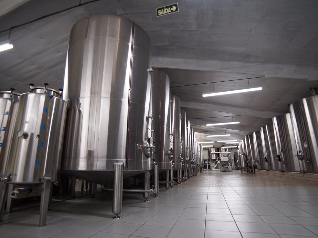 Boscato Vinhos Finos-Nova Padua必去景点