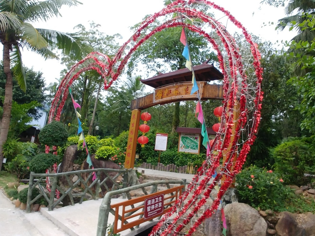 恩平锦江温泉景点图片