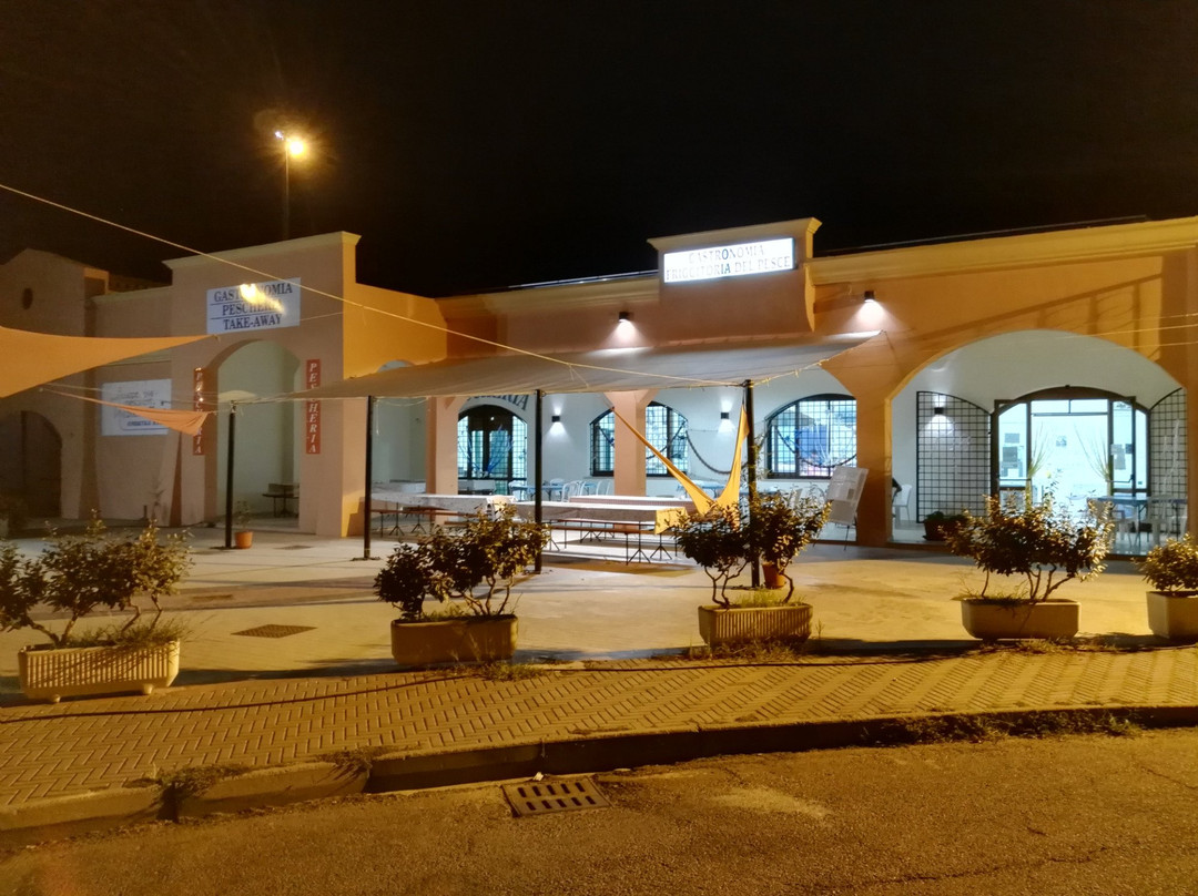 Cooperativa Pescatori Stella Maris
