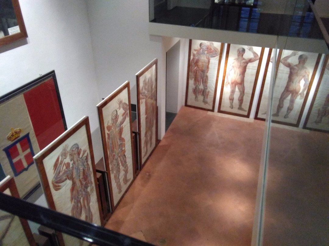 Museo di Storia Naturale dell'Accademia dei Fisiocritici-锡耶纳必去景点