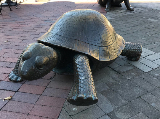 Tortoise and Hare-波士顿必去景点