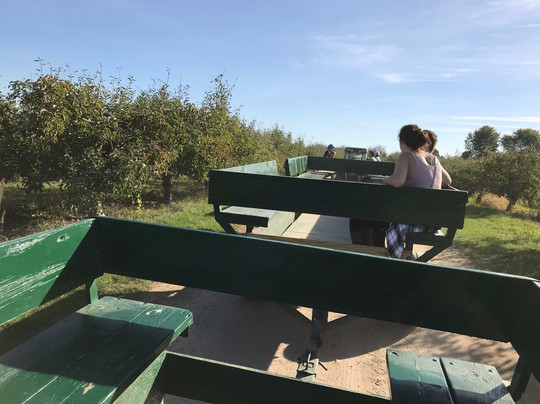 Erwin's Orchard-South Lyon必去景点