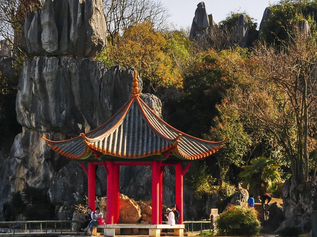 重庆图书馆景点图片