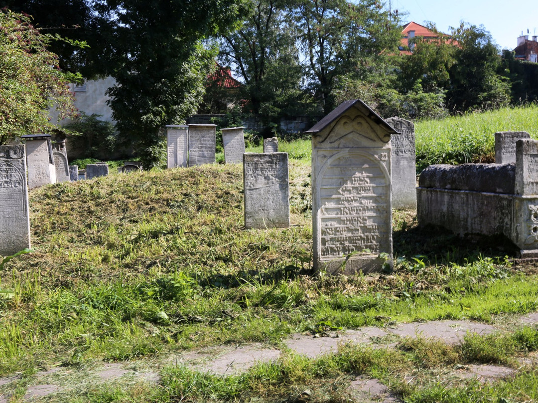 transkrakow.pl-克拉科夫必去景点