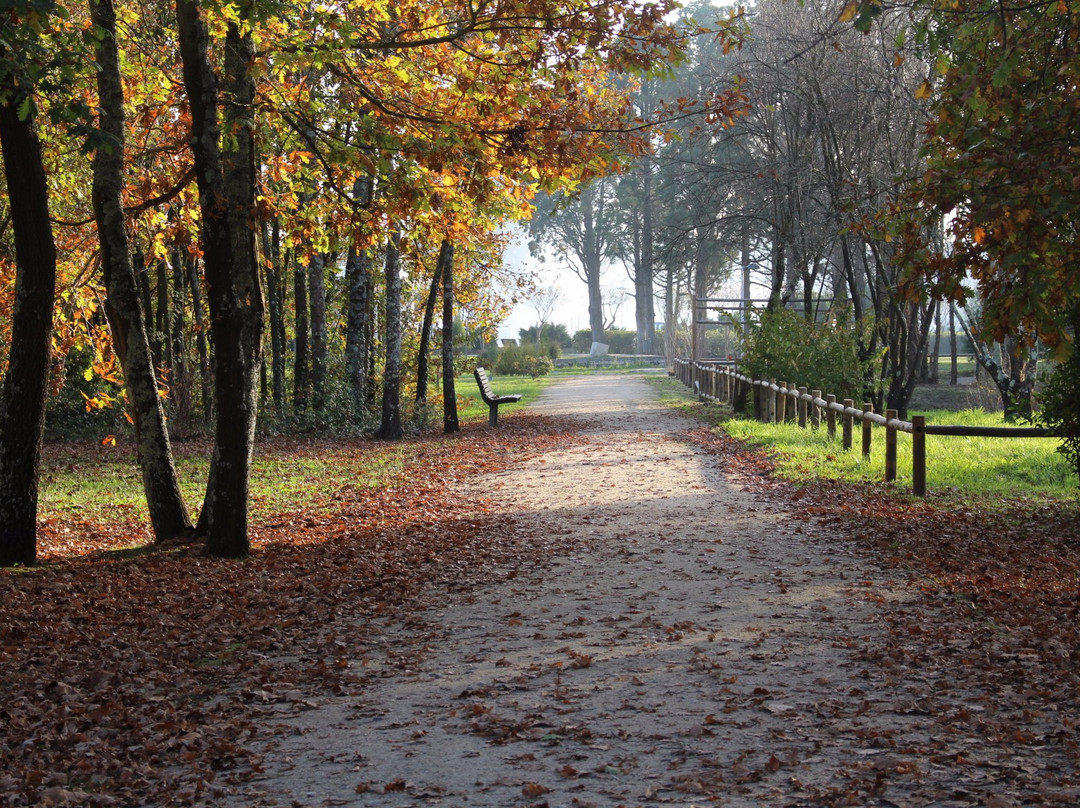 Parque Da Cidade景点图片