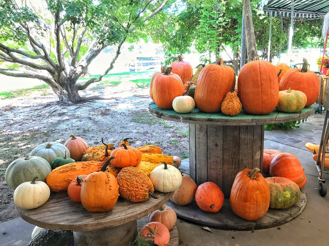 Grandy Greenhouse Farm Market-Grandy必去景点