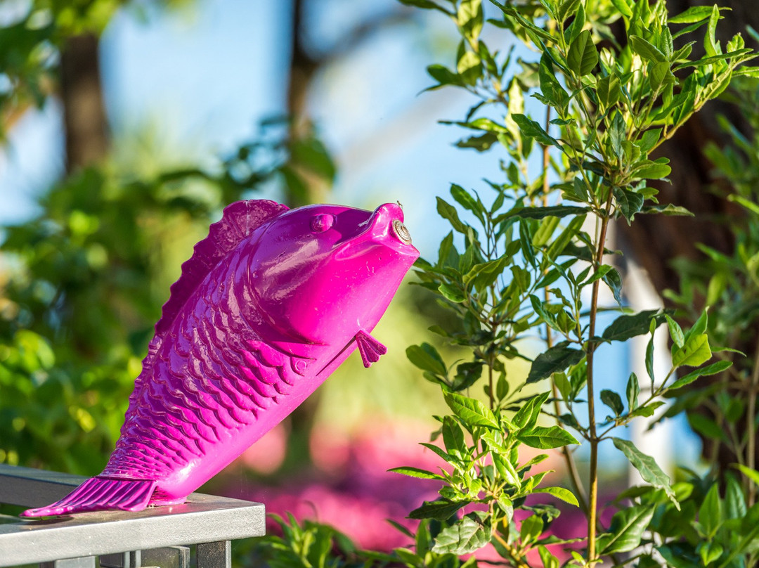 Clarens旅游景点-Purple Fish Lounge Bar