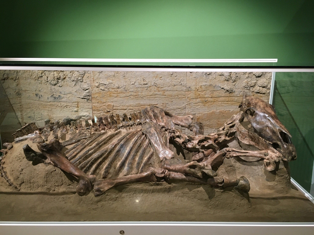 Erkenbert-Museum-弗兰肯塔尔必去景点