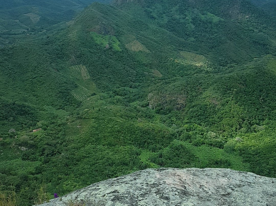 Pedra do Bacamarte-Palmacia必去景点