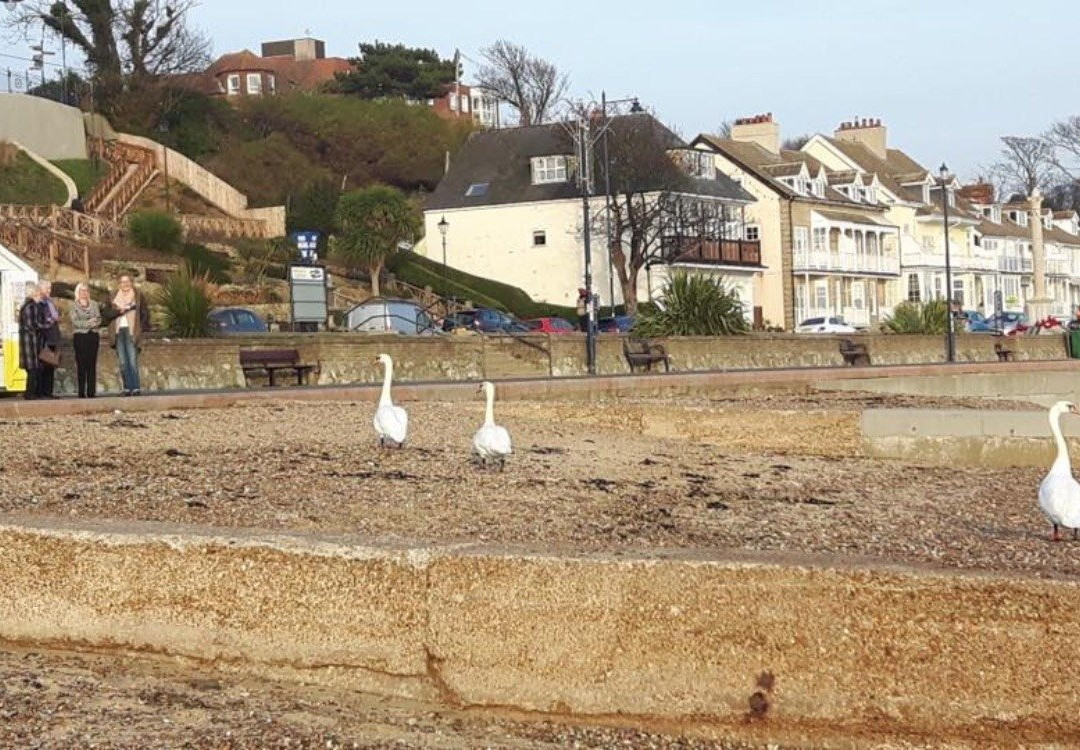 Visit Felixstowe TIC Beach Hut-费力克斯托必去景点