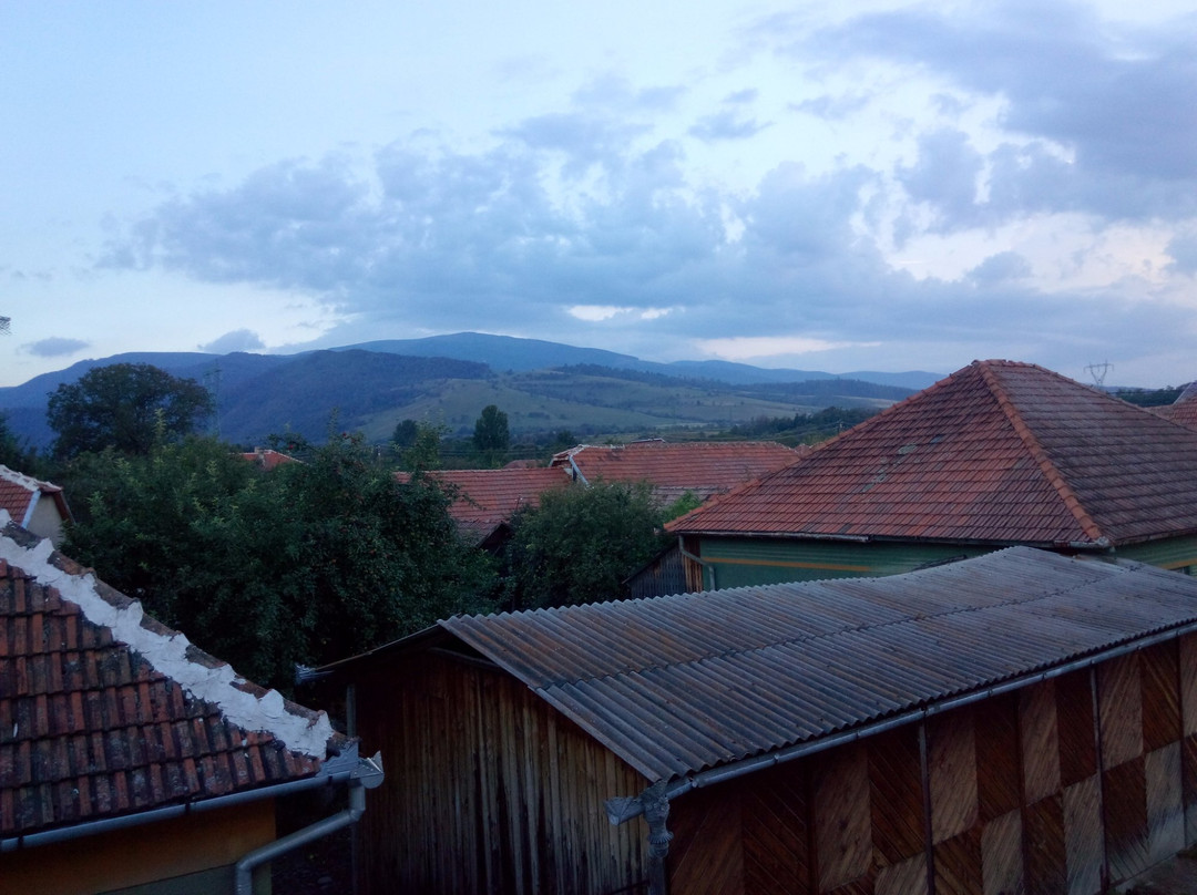 Râu Bărbat旅游攻略图片