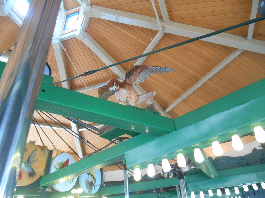 Kingsport Carousel & Park-金斯波特必去景点