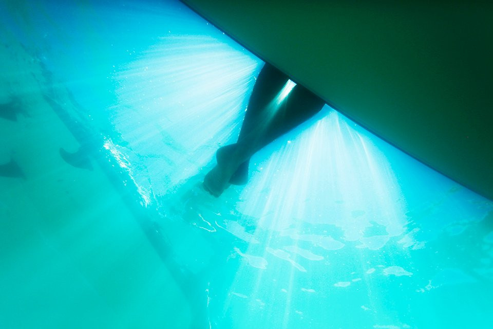 Elemental Stand Up Paddle boarding-珀斯必去景点