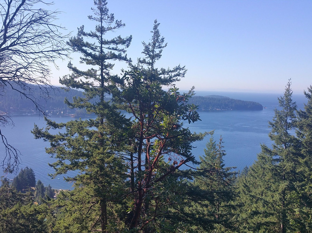 Soames Hill (aka Knob Hill)-吉布森斯必去景点