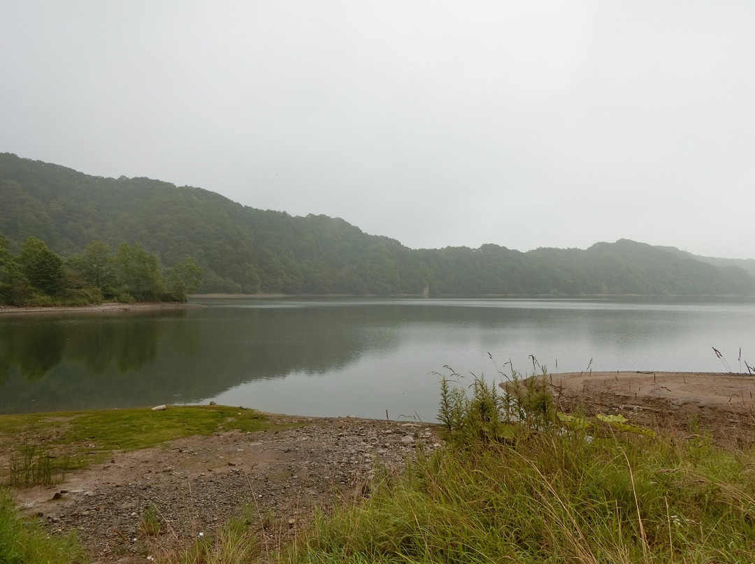 Lake Fujin景点图片