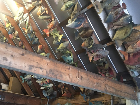 The Iron Fish Gallery-Daufuskie Island必去景点