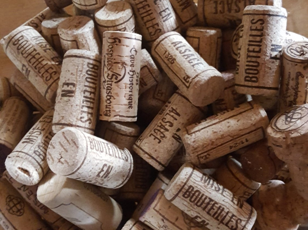 Domaine Hertzog-Herrlisheim-pres-Colmar必去景点