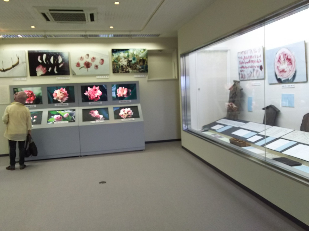 Omi Myoren Park, Omi Myoren Museum-守山市必去景点