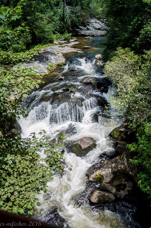 Chattooga River Loop Trail景点图片