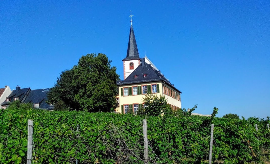 Hochheim am Main旅游攻略图片