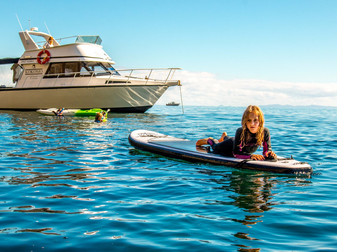 Gulf Eco Adventures-奥克兰中心地区必去景点