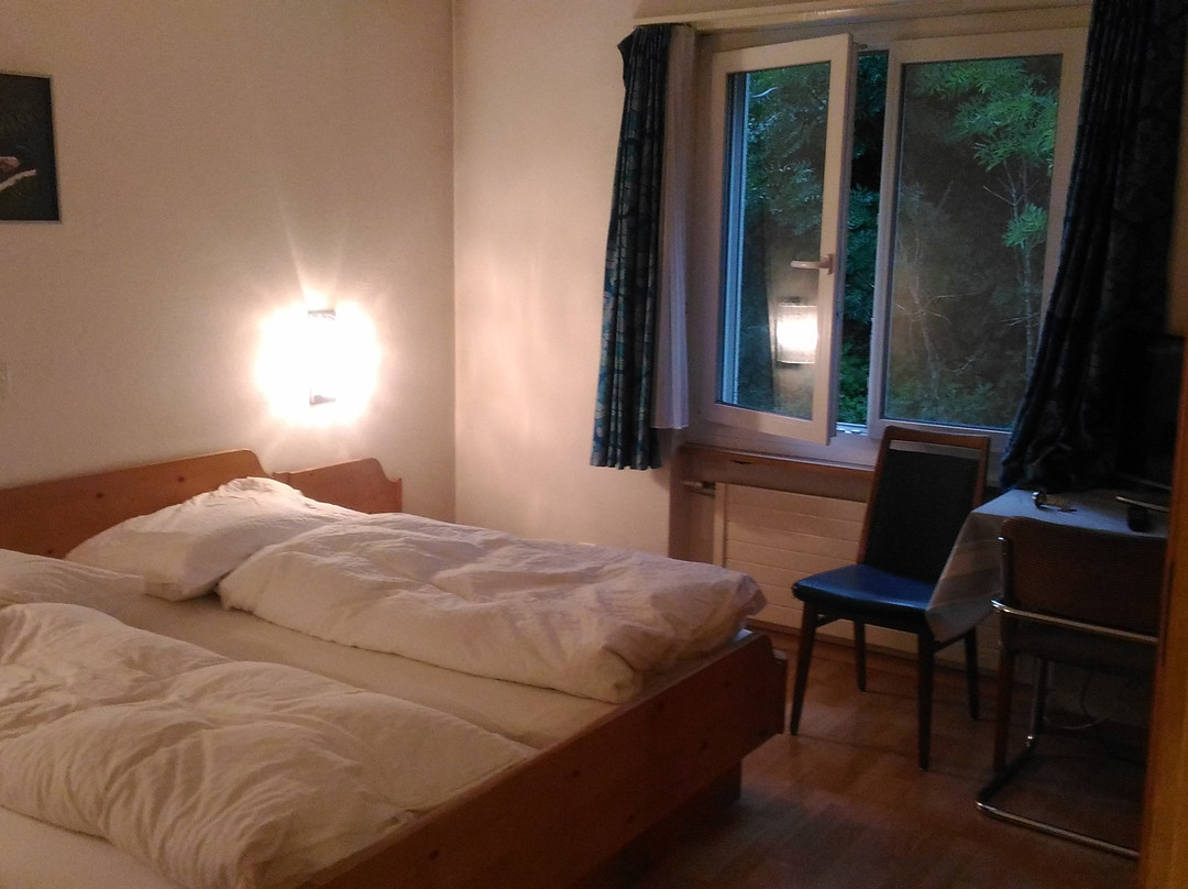 Hotel Deutscher Rhein主图