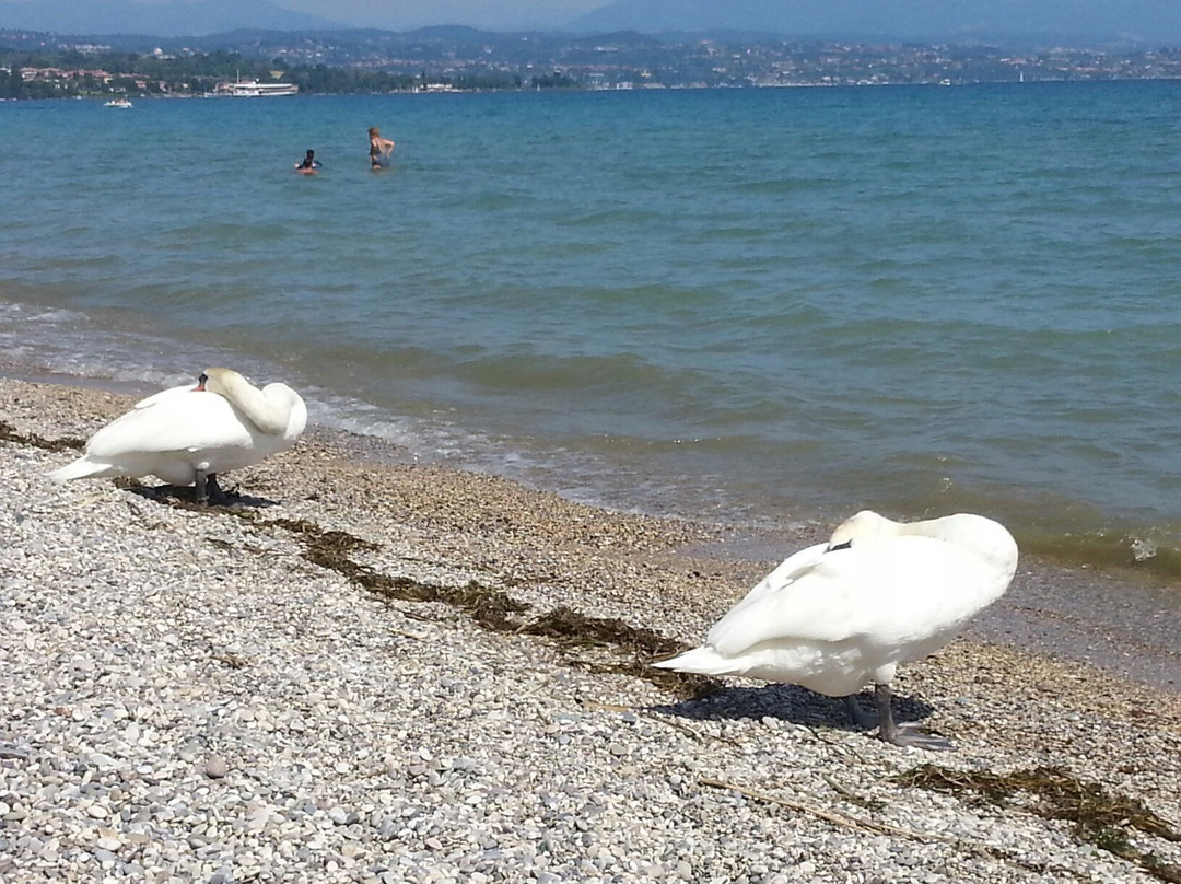 Spiaggia d'oro-代森扎诺-德尔加达必去景点