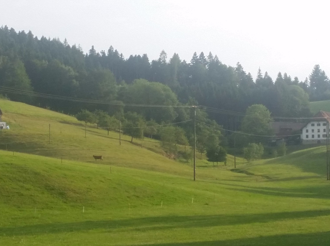 Waldkirch餐馆和美食-Kohlenbacher Hof