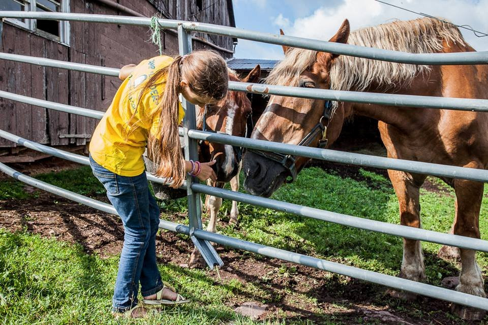 Apple Pond Farm-Callicoon Center必去景点
