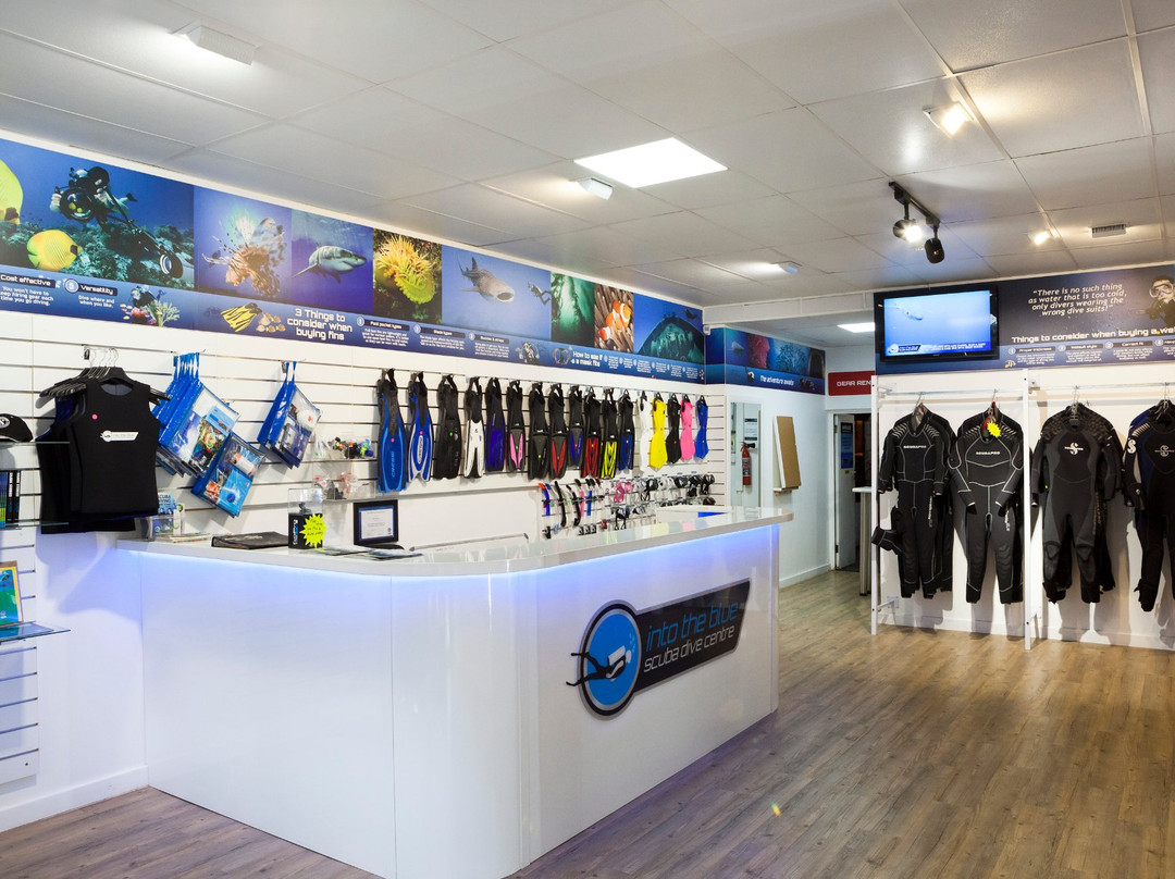 Into The Blue Scuba Centre-开普敦中心区必去景点