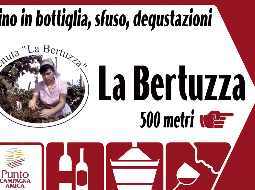 Tenuta La Bertuzza景点图片