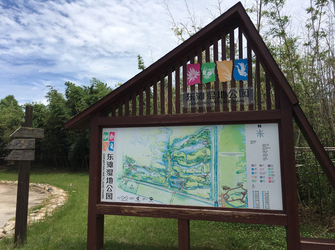 崇明东滩鸟类国家级自然保护区-崇明县必去景点