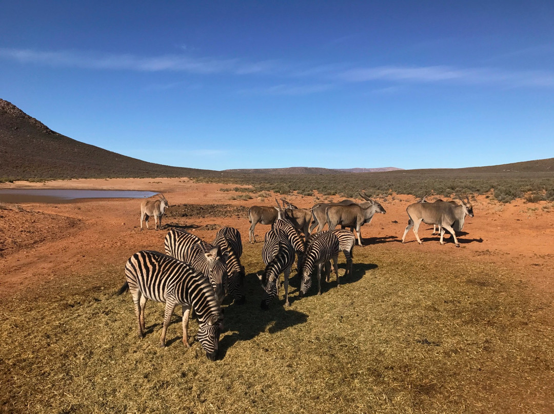 Ronel Cooper Day Tours-鱼角必去景点