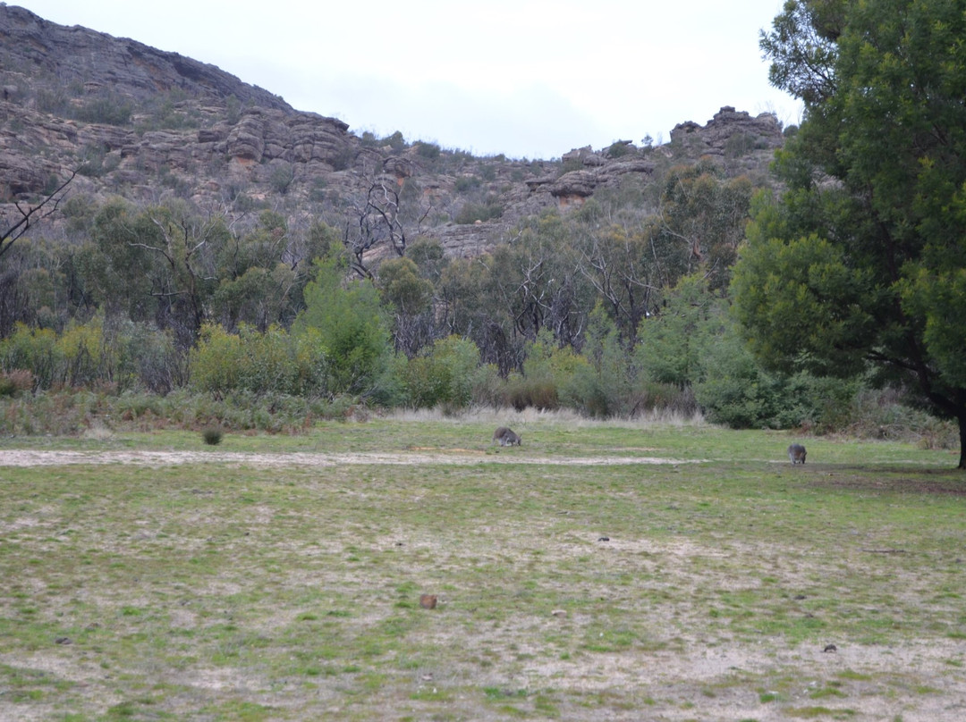 Mt Stapylton-Laharum必去景点