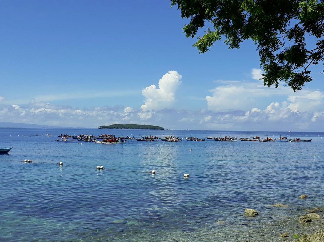 Travel South Adventures and Tours-莫阿尔博阿尔必去景点